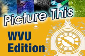 Small portions of photos with the text "Picture This WVU Edition"