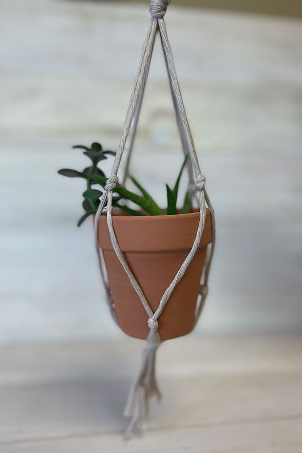 Terra Cotta pot with a succulent inside a macrame hanger