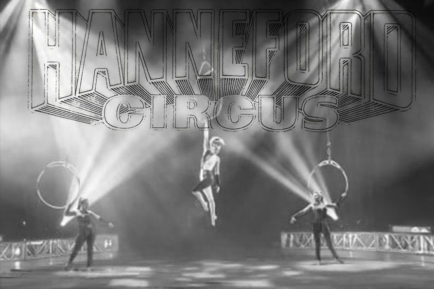 Hanneford Circus photo of aerialist