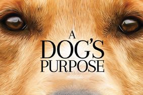 A Dog's purpose