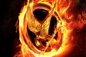 the golden mockingjay ternlike creature encircled in flames