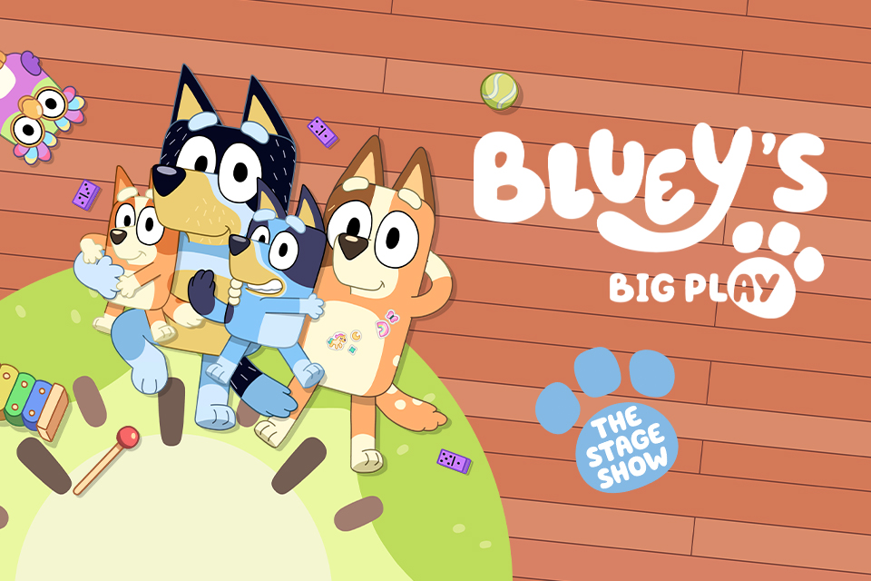 Bluey's Big Play. The stage show Illustration of Bingo, Bandit, Bluey and Chilli on the kiwi rug.